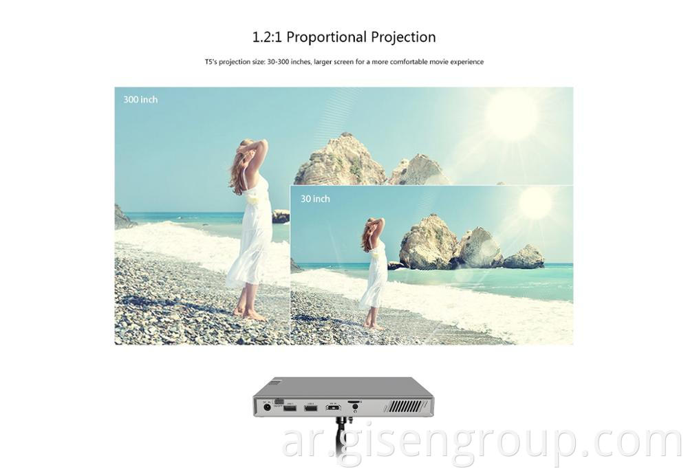 300 Inch Projector